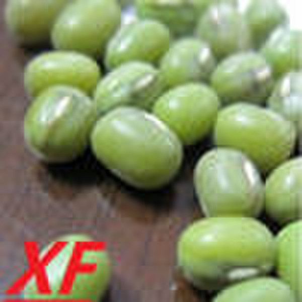 China Green mung bean