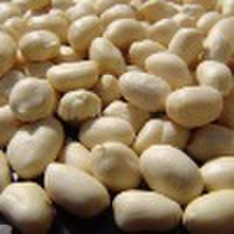 Blanched Peanut Kernels