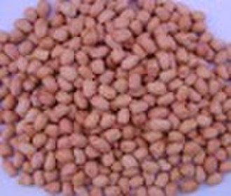 2010 New Crop Chines Peanut Kernels