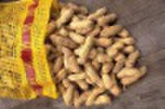 2010 New Crop Chinese Peanut in Shell