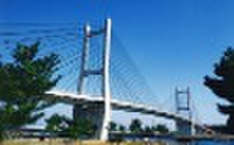 Steel Cable-stayed Bridge