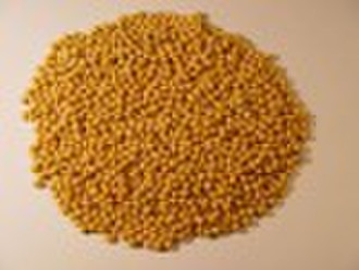 Chinese yellow soybean