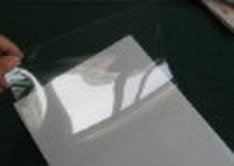 plastic pet film roll