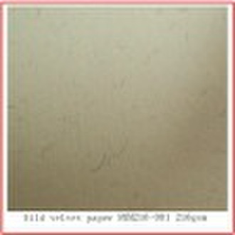 2011 new silk velvet paper printing paper