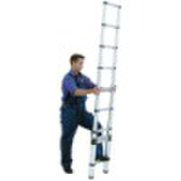 telescopic ladder