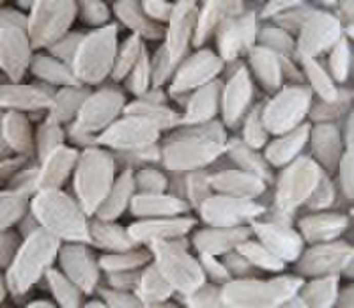 Sunflower seed kernel