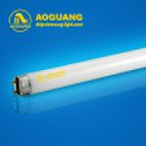 T8 fluorescent lamp