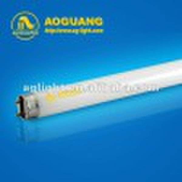 T8 fluorescent tube light