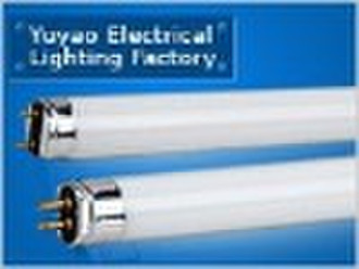 T8 fluorescent light