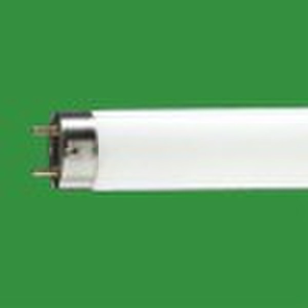 fluorescent tube