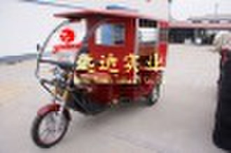 Passenger electric Trike