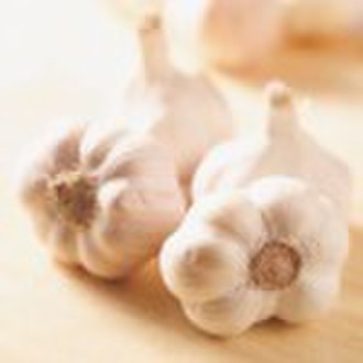 White common garlic