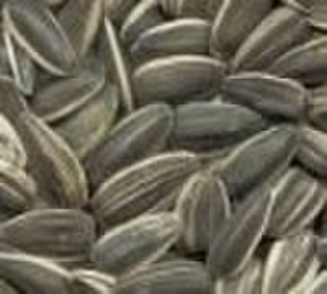 sunflower seeds--5009