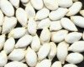 white pumpkin seeds