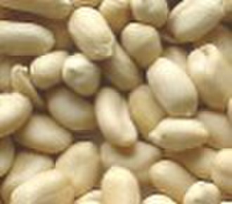 2010 Crop Blanched Peanut kernels