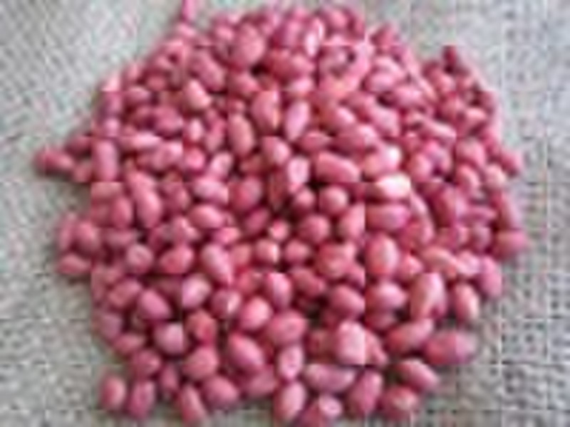 Supply 2010 crop red skin peanut