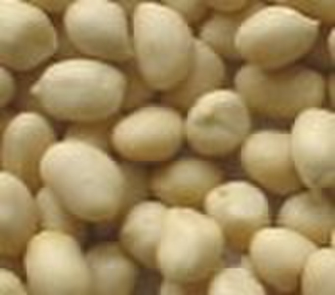 Blanchecd Peanut Kernels  51/61