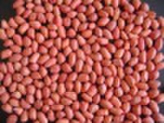 Red Skin Peanuts 80/100