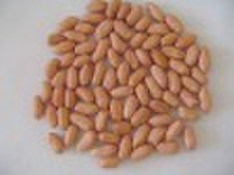 Peanut Kernels Long Type 34/38