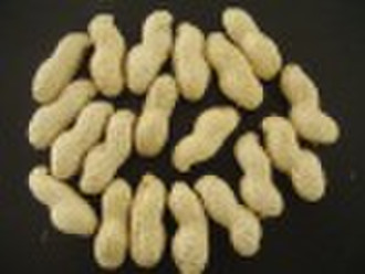 Supply Peanut In Shell