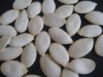 Snow White Pumpkin Seeds