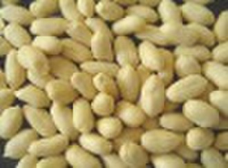 Blanched Peanut 35/39