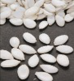 snow white pumpkin seed