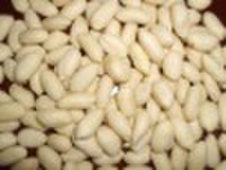 Blanched Peanut Kernels