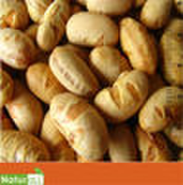 Gesalzene Nüsse Soja (GVO-frei)