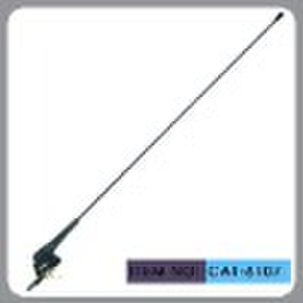 AM/FM  car antenna