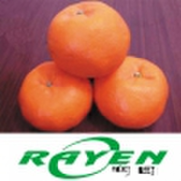 Mandarin Orange