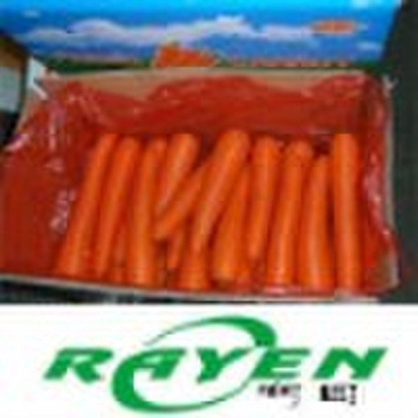 Chinese Fresh Carrot