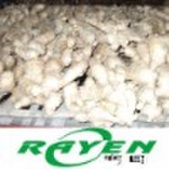 Air Dried Ginger