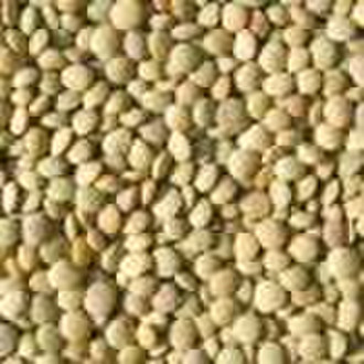 Chinese Lentils