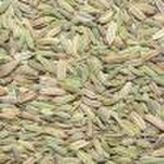 Chinese Fennel Seeds