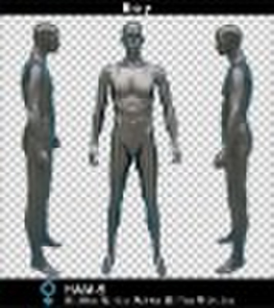 glass steel men body model