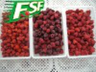 IQF Himbeeren