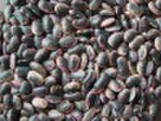Large Black Speckled Kidney Beans / Large Purple S