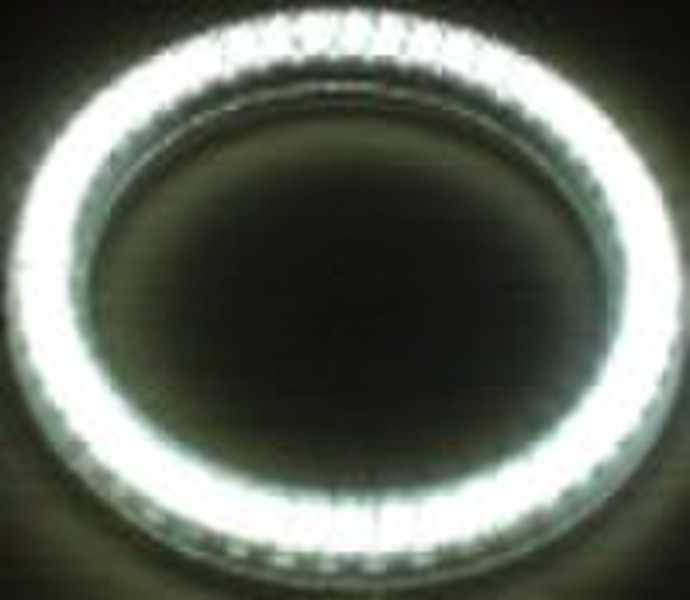 LED angel eyes
