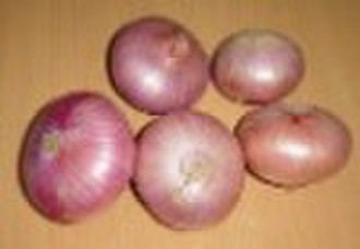 onion