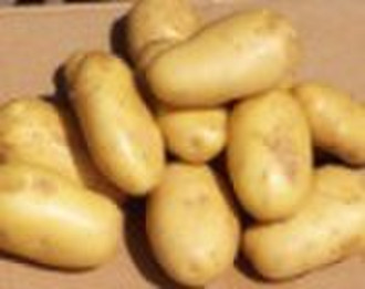 potato
