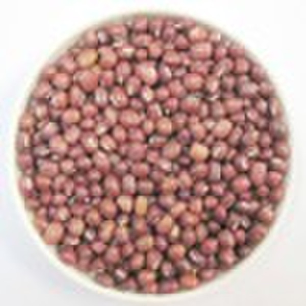 Azuki Bean или Маленький красный Бин