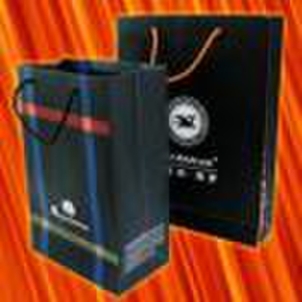 2010 promotional Paper Bag