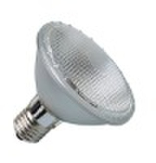 DIP LED PAR30 lamps