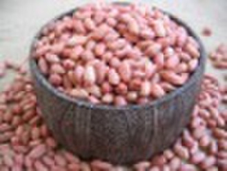 Chinese peanut kernel 2010 new crop