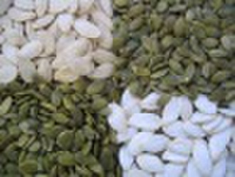 chinese  pumpkin seed and  kernel