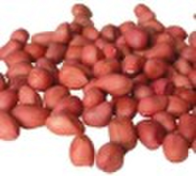 chinese red skin peanut kernels 50/60