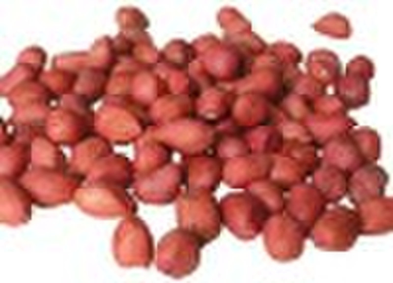 red skin peanut kernels 50/60, 70/80;hsuji peanut