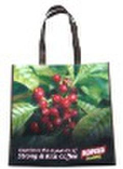 Shopping Non woven Bag