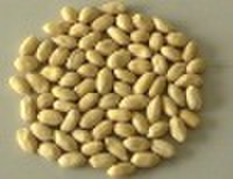 25/29 blanched peanut kernels